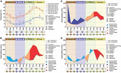 Influence of Climate on Soil and Wine Bacterial Diversity on a Vineyard in a Non-traditional Wine Region in Argentina